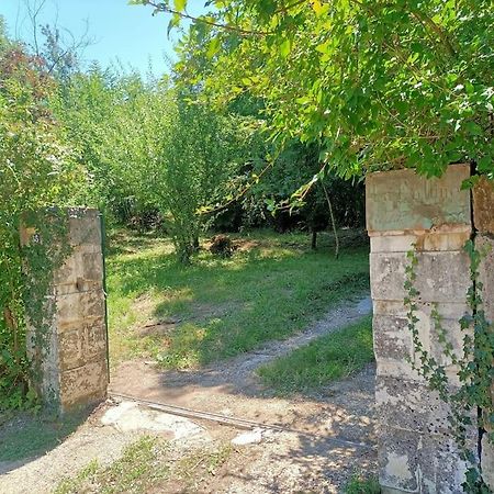 Molieres-sur-Ceze La Colline Aux Oiseaux, La Tranquillite Des Bois 빌라 외부 사진