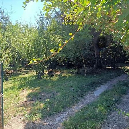Molieres-sur-Ceze La Colline Aux Oiseaux, La Tranquillite Des Bois 빌라 외부 사진